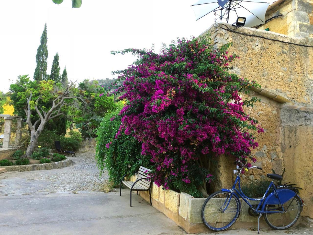 Feriehus Canfirella Portocolom